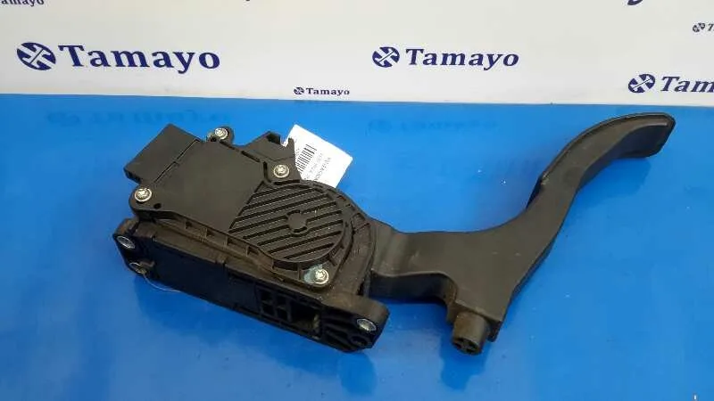 Potenciometro Pedal para Seat Ibiza (6L1)
