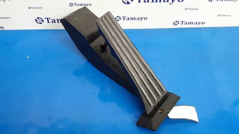 Potenciometro Pedal para Bmw Serie 3 Cabrio (E93)
