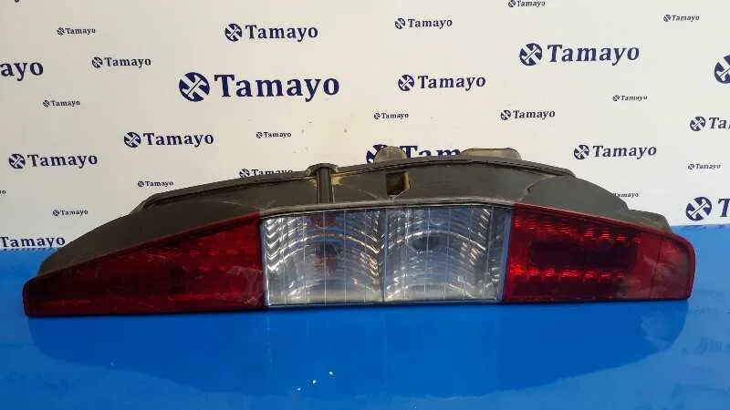 Piloto Trasero Derecho para Fiat Doblo Cargo (223)