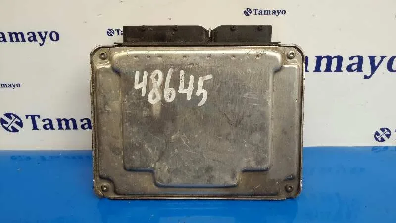 Centralita Motor Uce para Seat Ibiza (6L1)