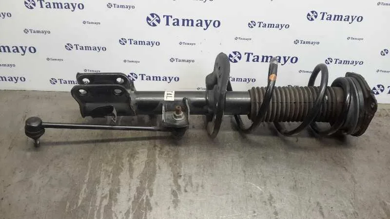 Amortiguador Delantero Izquierdo para Nissan Juke (F15)