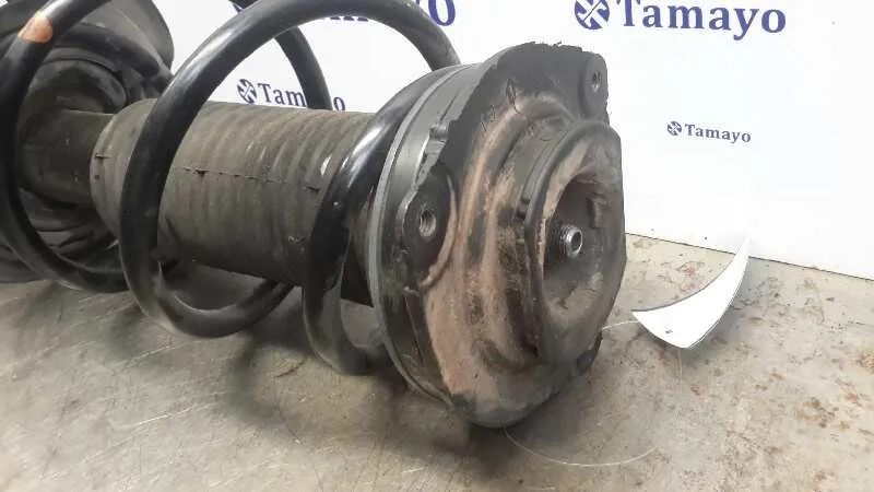 Amortiguador Delantero Izquierdo para Nissan Juke (F15)