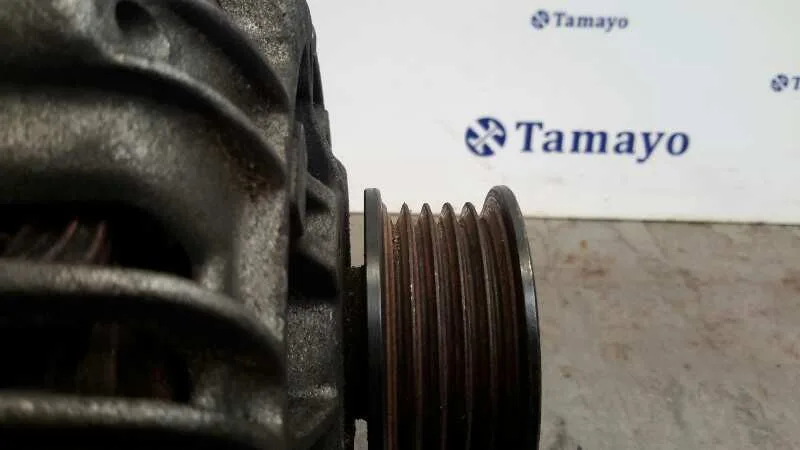 Alternador para Bmw Serie 5 Touring (E39)