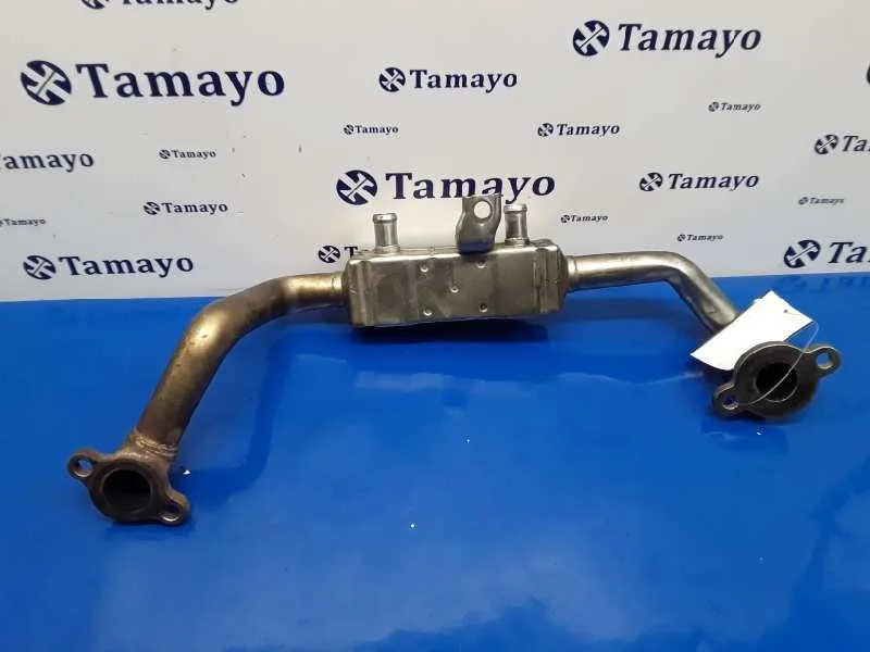 Enfriador Egr para Subaru Legacy Familiar/Outback B13 (Bp)