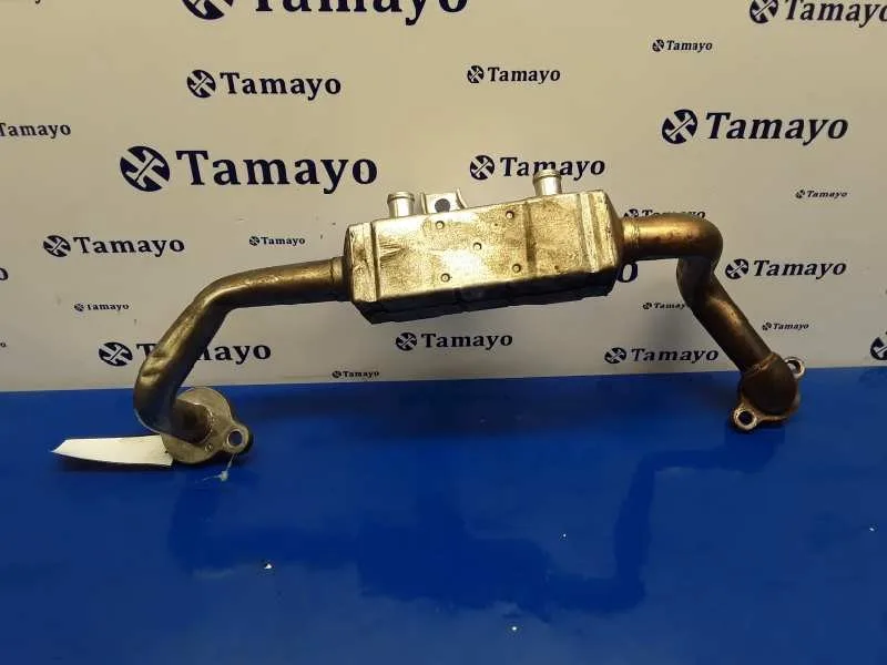Enfriador Egr para Subaru Legacy Familiar/Outback B13 (Bp)