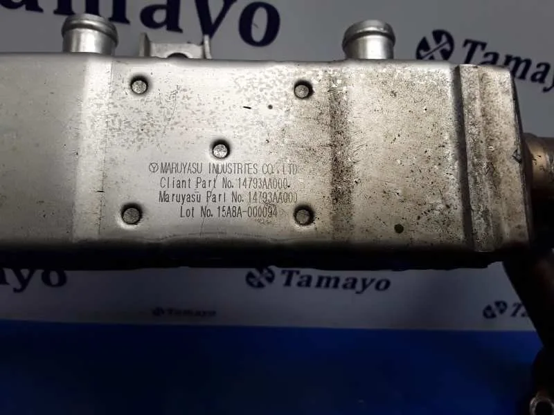 Enfriador Egr para Subaru Legacy Familiar/Outback B13 (Bp)