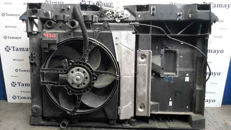 Panel Frontal para Peugeot 207 Cc
