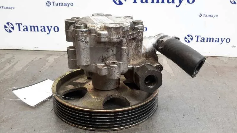 Bomba Direccion para Peugeot 406 Berlina (S1/S2)