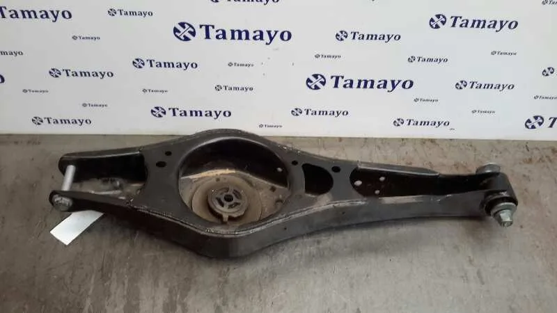 Brazo Suspension Inferior Trasero Izquierdo para Volkswagen Golf V Berlina (1K1)