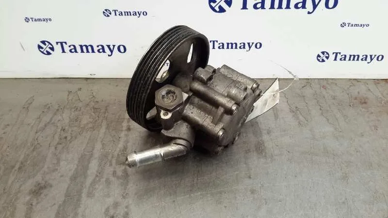 Bomba Direccion para Citroën C5 Berlina