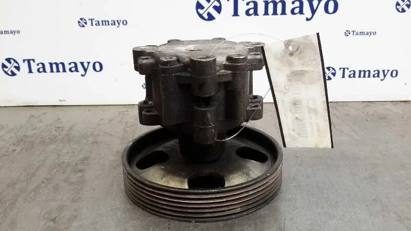 Bomba Direccion para Citroën C5 Berlina