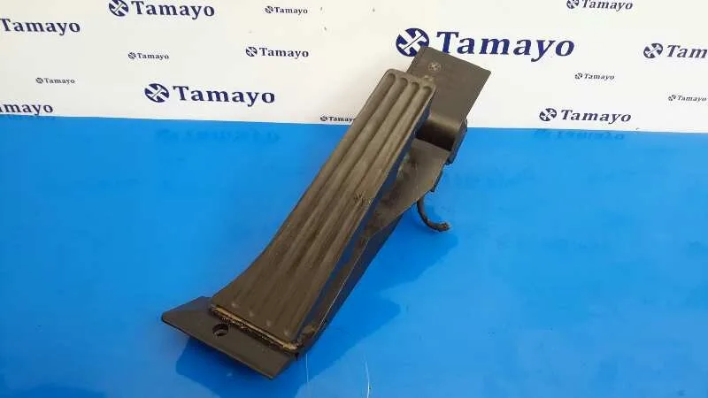 Potenciometro Pedal para Bmw Serie 3 Berlina (E90)