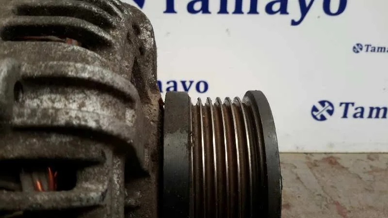 Alternador para Kia Carens
