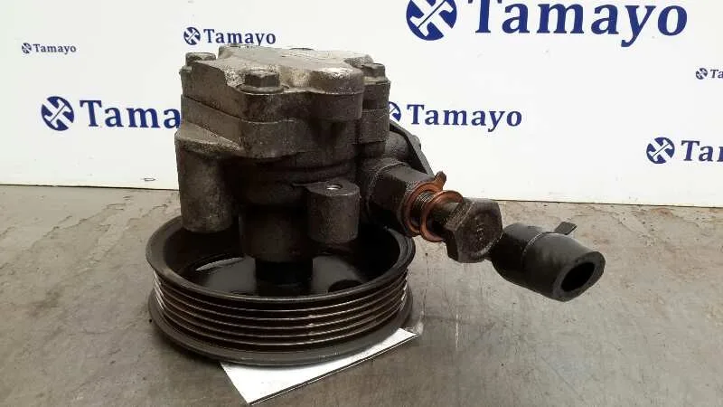 Bomba Servodireccion para Kia Carens