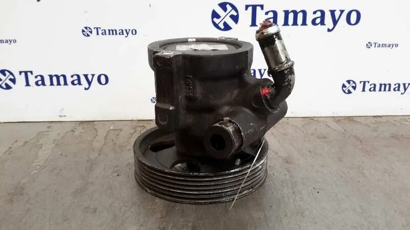 Bomba Direccion para Citroën Xsara Picasso