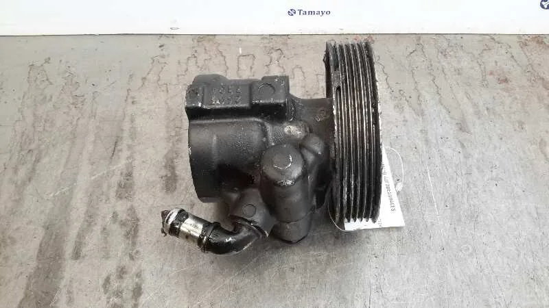 Bomba Direccion para Citroën Xsara Picasso
