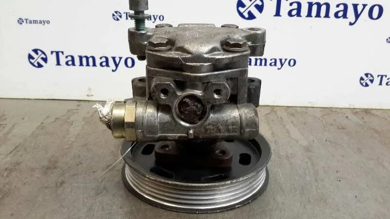 Bomba Direccion para Volkswagen Passat Berlina (3B3)