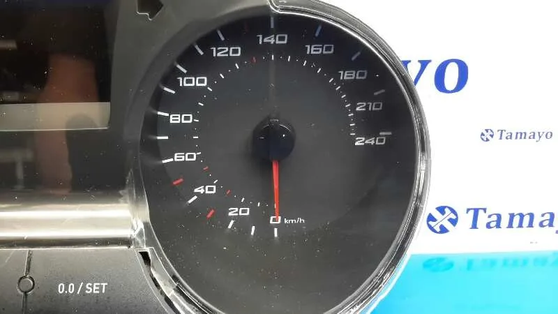 Cuadro Instrumentos para Seat Ibiza (6J5)