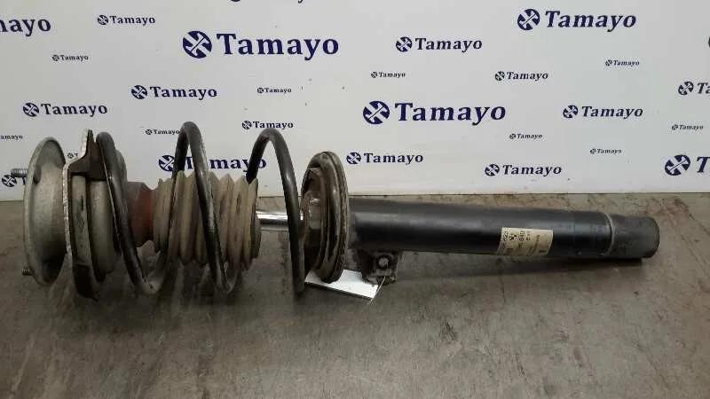 Amortiguador Delantero Izquierdo para Bmw Serie 3 Berlina (E46)