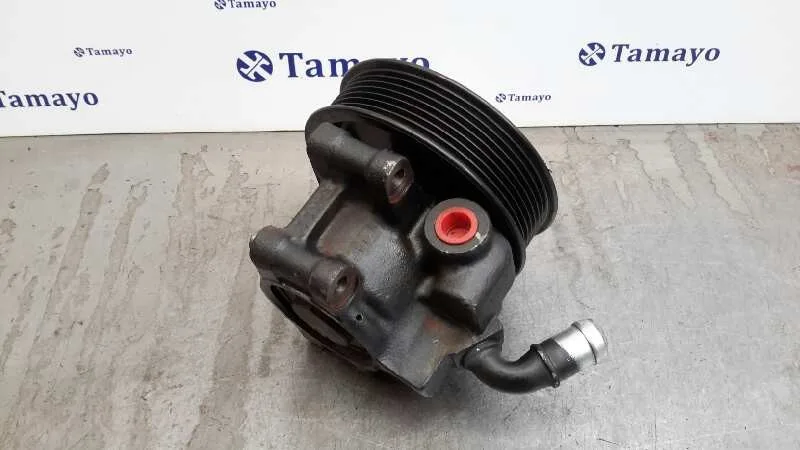 Bomba Direccion para Ford Transit Caja Cerrada '06