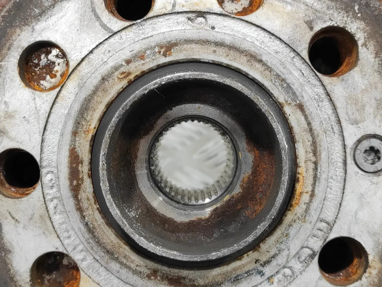 Mangueta Delantera Derecha para Volkswagen Caddy Ka/Kb (2K)