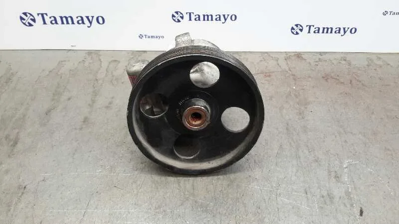 Bomba Direccion para Renault Laguna Ii (Bg0)