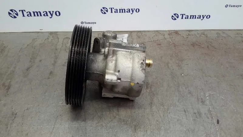 Bomba Direccion para Renault Laguna Ii (Bg0)