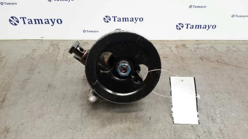 Bomba Direccion para Galloper Santamo