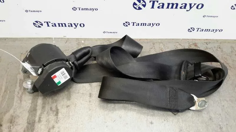 Cinturon Seguridad Trasero Derecho para Audi Q5 (8R)