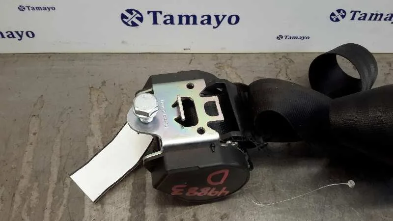 Cinturon Seguridad Trasero Derecho para Audi Q5 (8R)