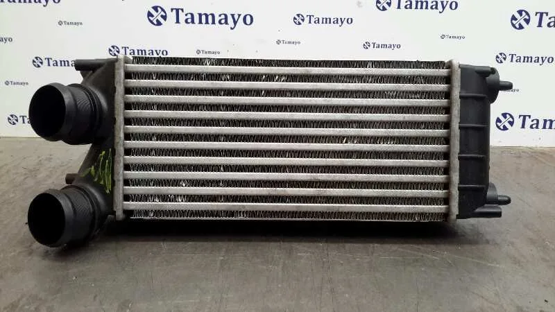 Intercooler para Peugeot 307 Break/Sw (S2)