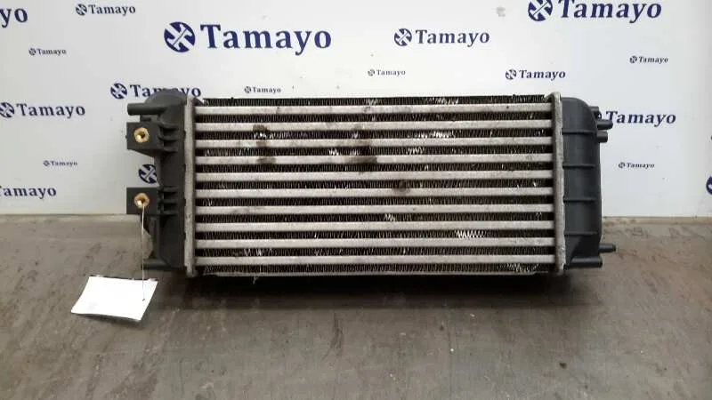 Intercooler para Peugeot 307 Break/Sw (S2)