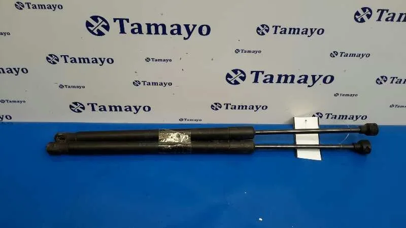 Amortiguadores Maletero / Porton para Audi Tt (8J3/8J9)