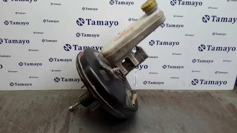 Servofreno para Fiat Ducato Caja Cerrada 11 (Desde 03.02)