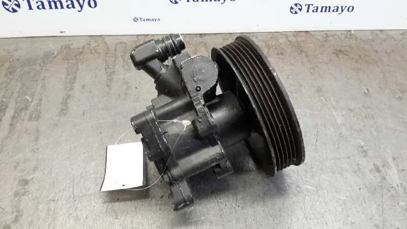 Bomba Servodireccion para Mercedes-Benz Clase M (W163)