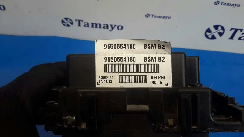 Caja Reles / Fusibles para Peugeot 307 (S1)