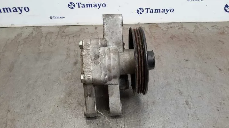Bomba Direccion para Hyundai Tucson (Jm)