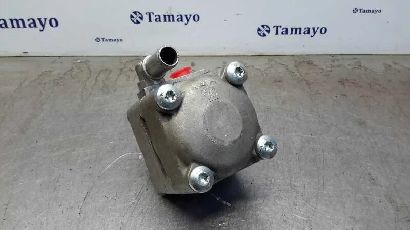 Bomba Direccion para Tata Safari (42_Fd)