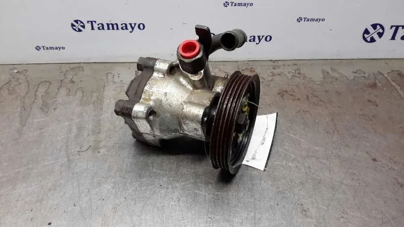 Bomba Direccion para Hyundai Atos (Em)