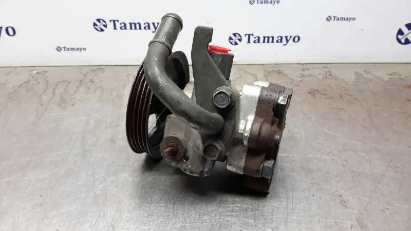 Bomba Direccion para Hyundai Atos (Em)