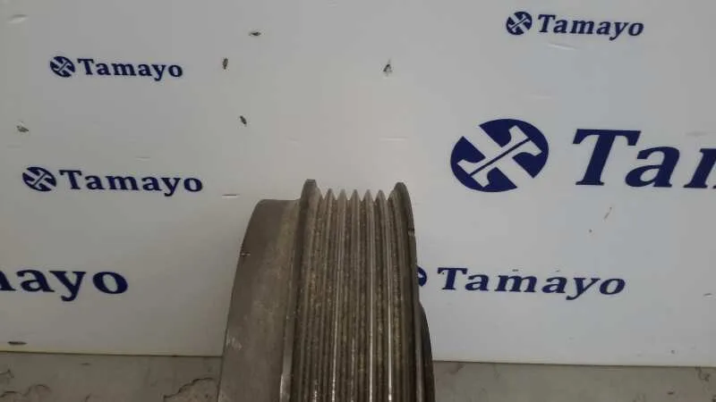 Polea Ciguenal para Seat Leon (1M1)