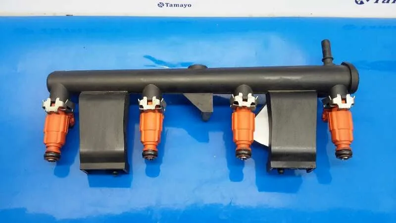 Rampa Inyectora para Peugeot 307 (S1)