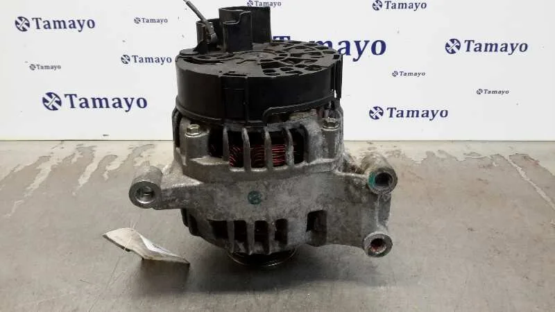 Alternador para Fiat Punto (Evo) (199)