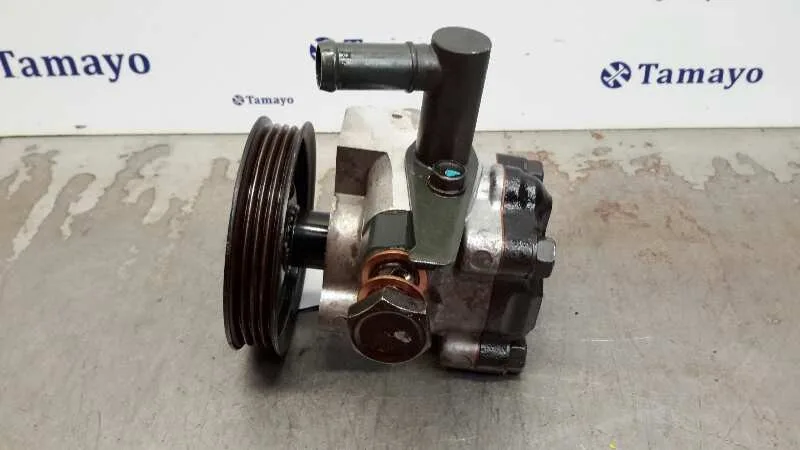 Bomba Direccion para Hyundai Accent (Lc)