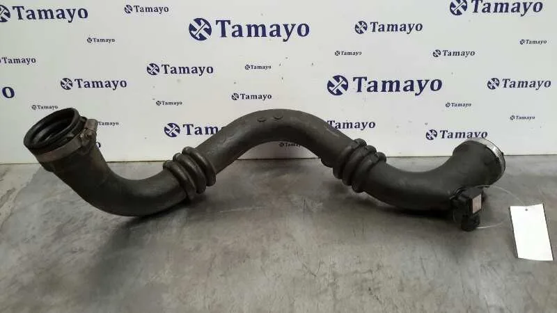 Tubo para Renault Vel Satis (Bj0)