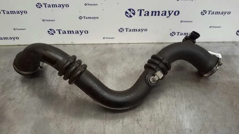 Tubo para Renault Vel Satis (Bj0)
