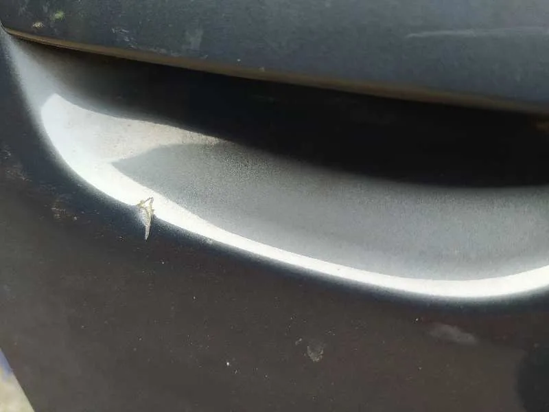 Puerta Trasera Derecha para Audi A4 Berlina (8E)