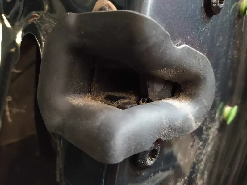 Puerta Trasera Derecha para Audi A4 Berlina (8E)