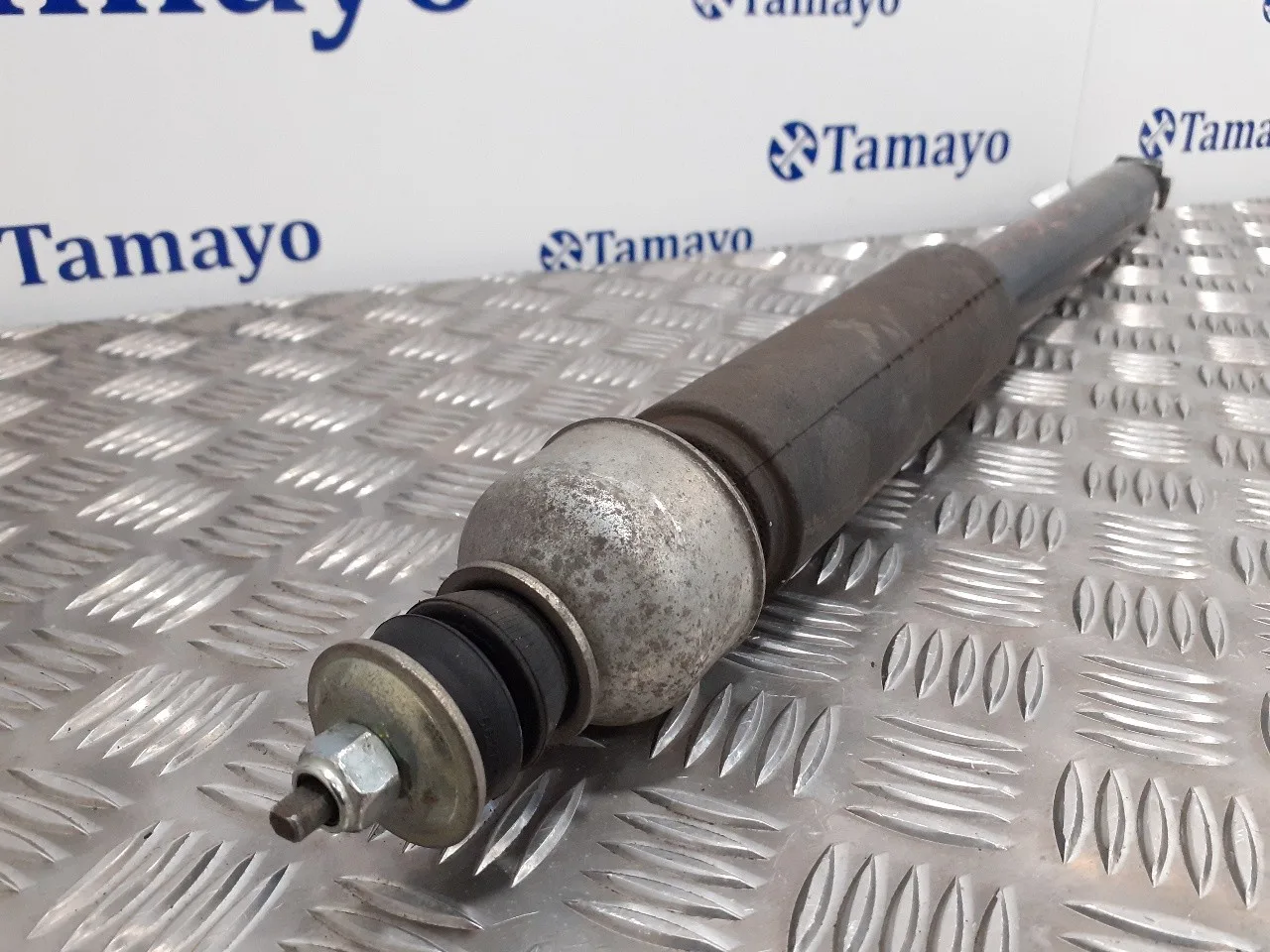 Amortiguador Trasero Izquierdo para Nissan Juke (F15)