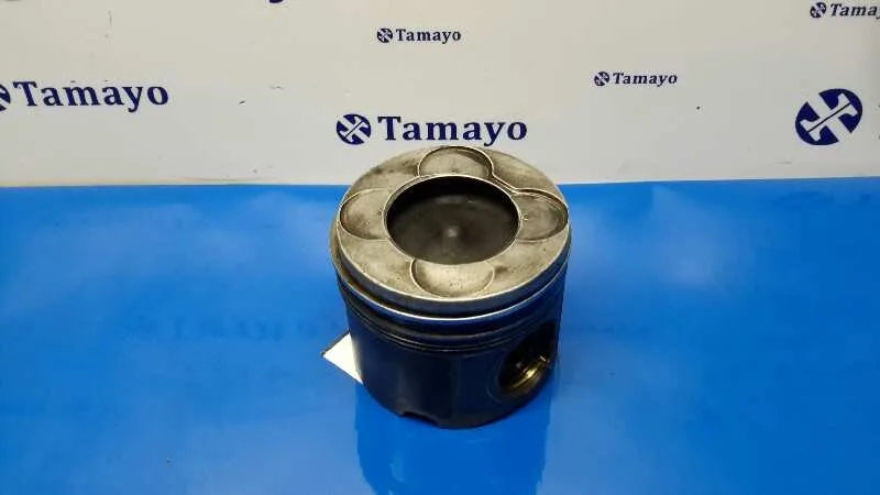 Piston para Bmw Serie 3 Berlina (E46)